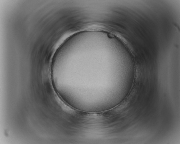 X0000099531478200805231050