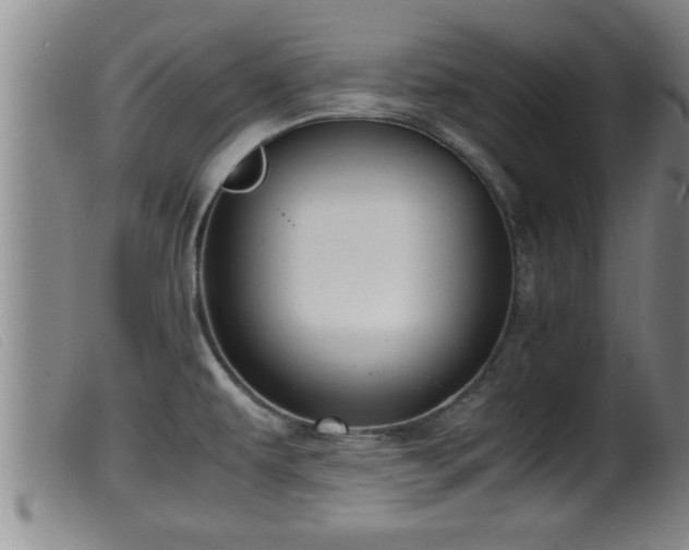 X0000099531479200805231050