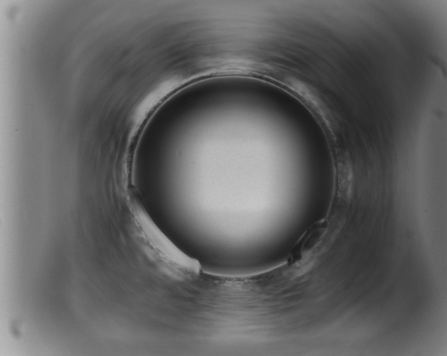 X0000099531480200805231050