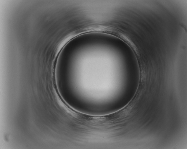 X0000099531483200805231050