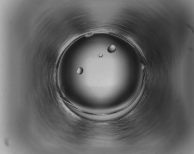 X0000099531484200805231050