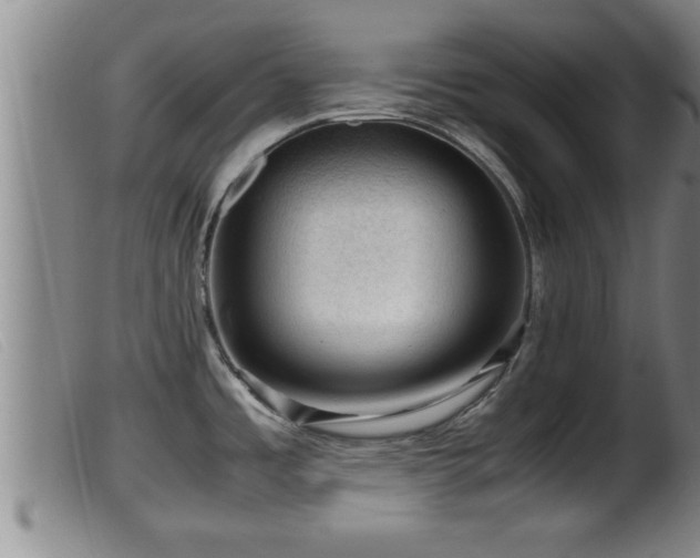 X0000099531485200805231050