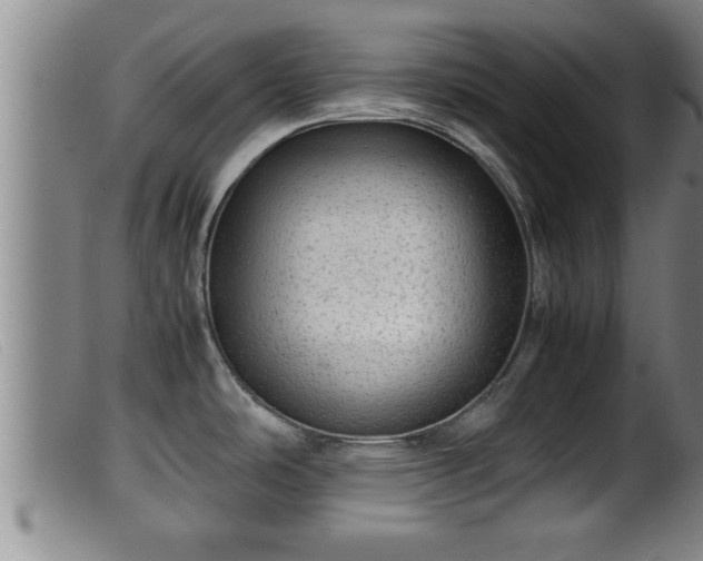X0000099531486200805231050