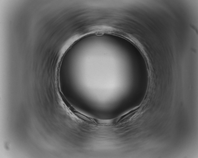 X0000099531488200805231050
