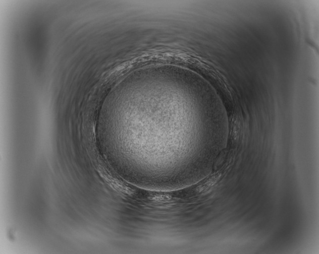 X0000099531489200805231049