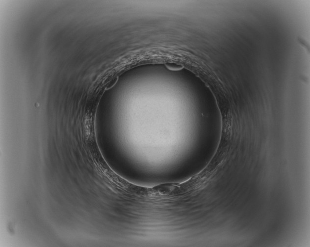 X0000099531490200805231049