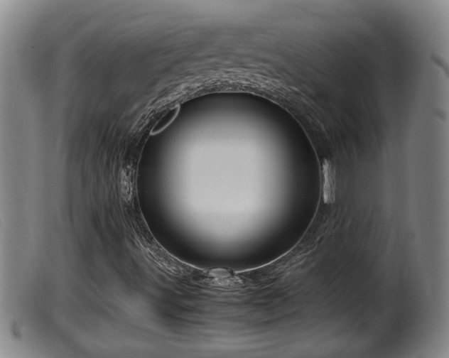 X0000099531491200805231049