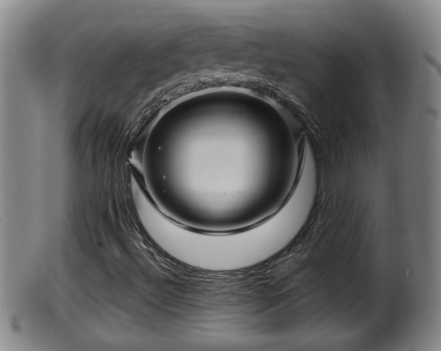 X0000099531492200805231049