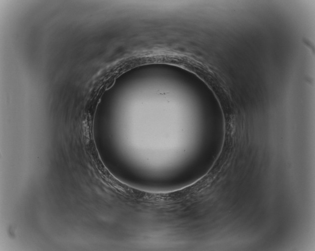 X0000099531493200805231049