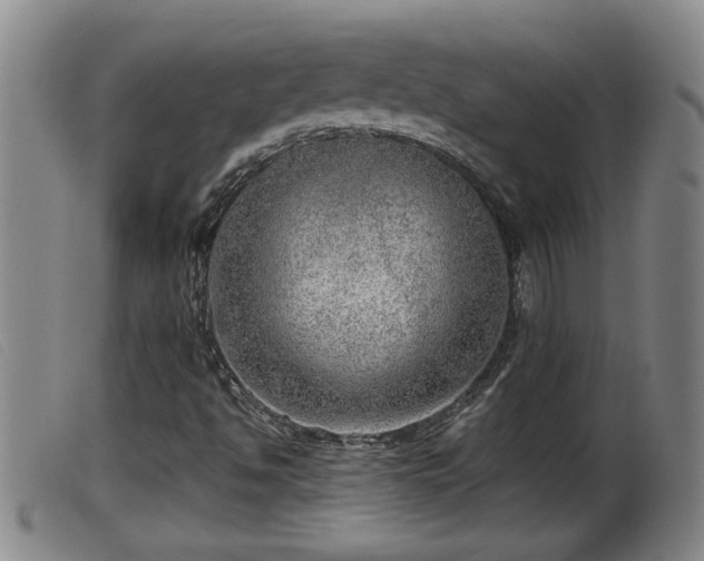 X0000099531494200805231049