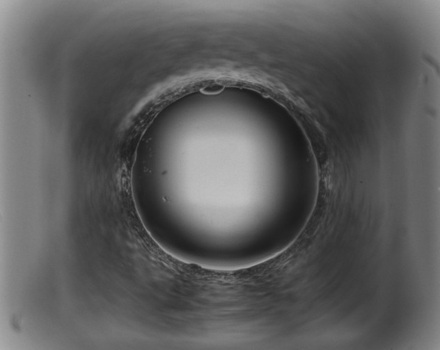 X0000099531495200805231049