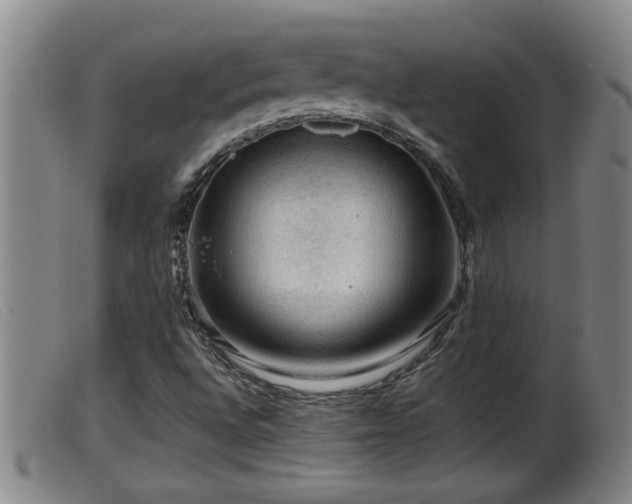 X0000099531496200805231049