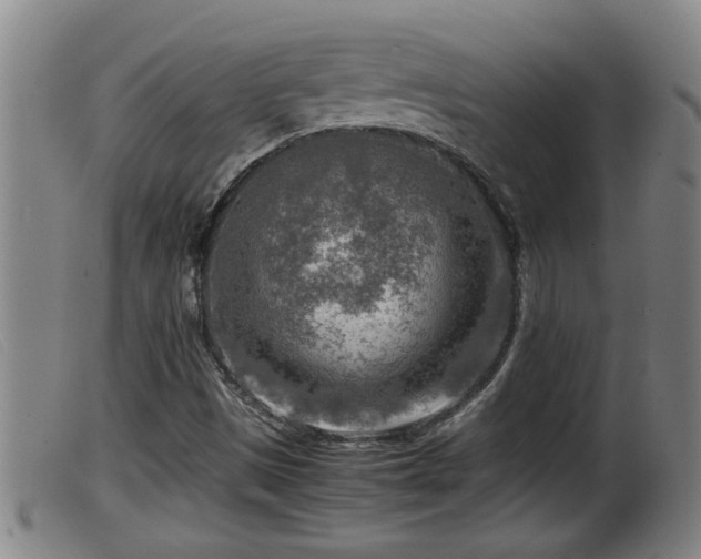 X0000099531497200805231049