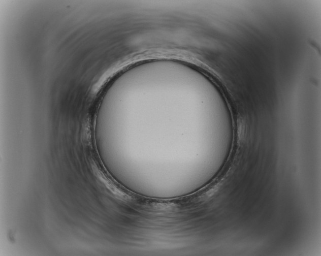 X0000099531498200805231049