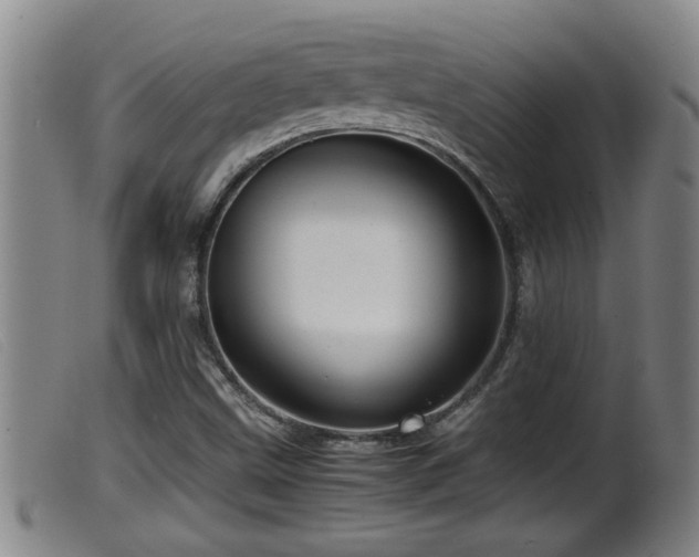 X0000099531499200805231049