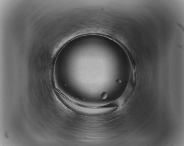 X0000099531500200805231049