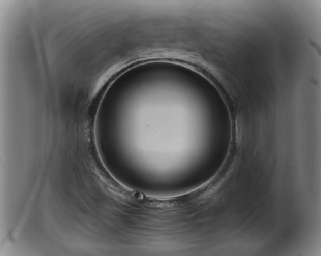 X0000099531501200805231049