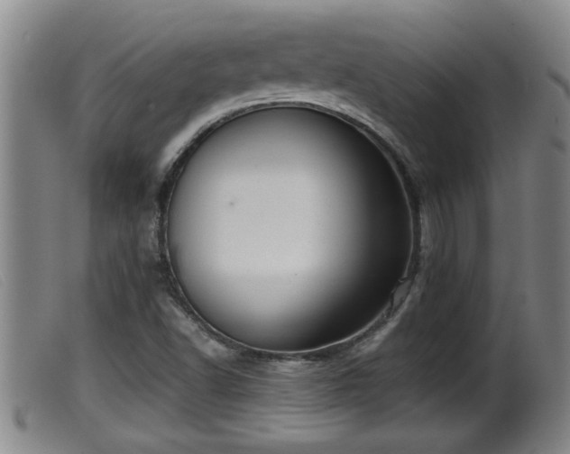 X0000099531502200805231049