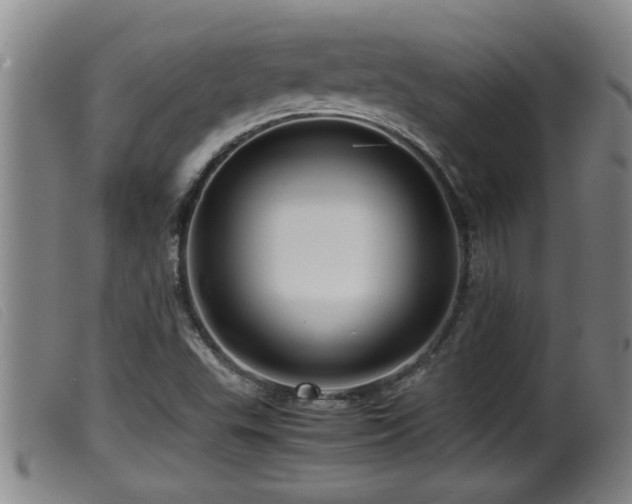 X0000099531503200805231049