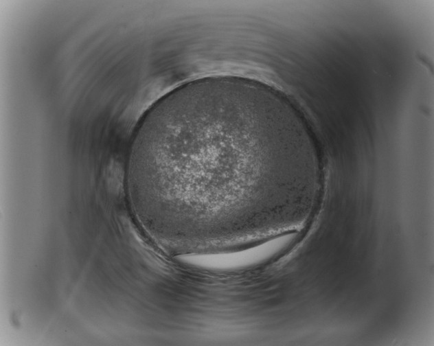 X0000099531505200805231049