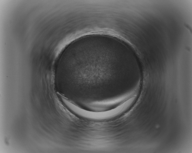 X0000099531506200805231049