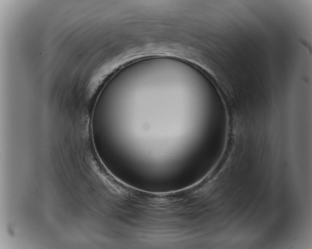 X0000099531507200805231049
