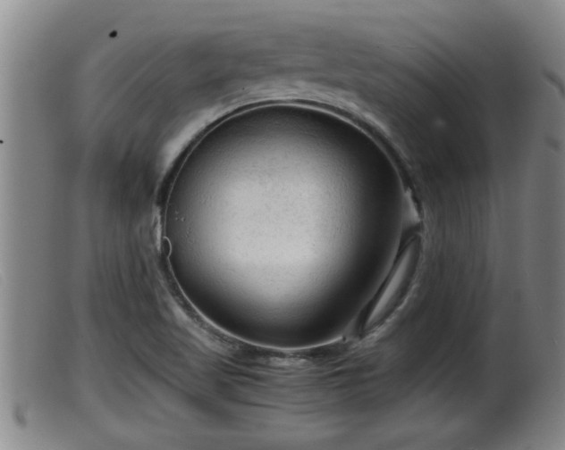 X0000099531509200805231049