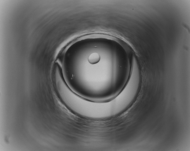 X0000099531510200805231049