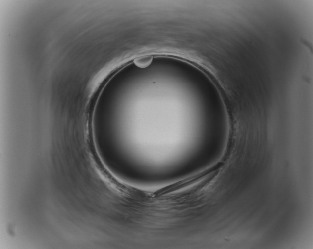 X0000099531511200805231049