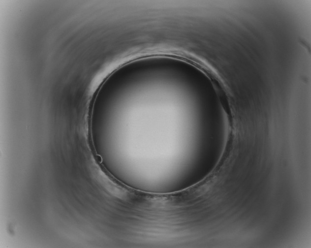 X0000099531512200805231049