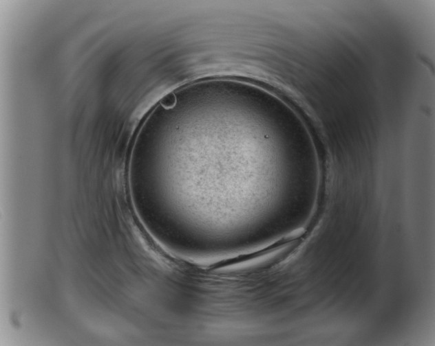 X0000099531513200805231050