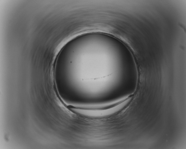 X0000099531516200805231050