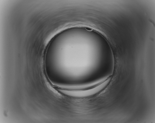 X0000099531518200805231050