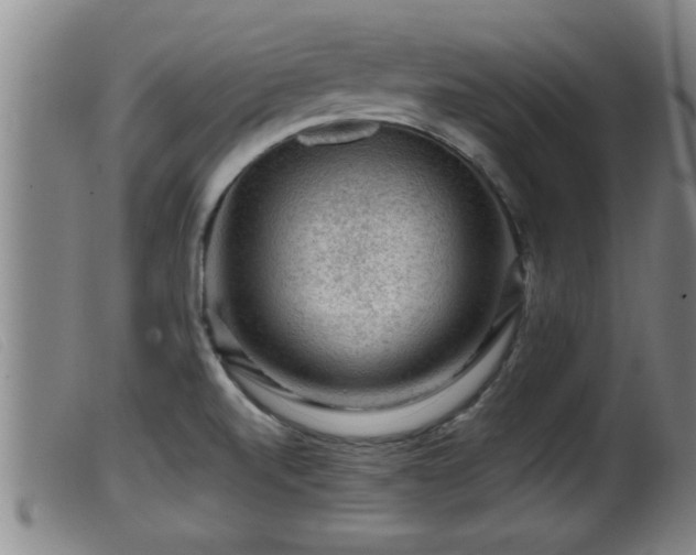 X0000099531520200805231050