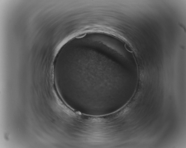 X0000099531522200805231050