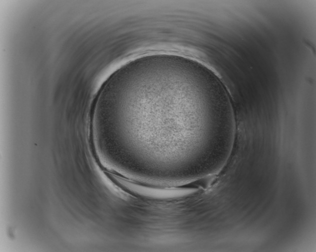 X0000099531523200805231050