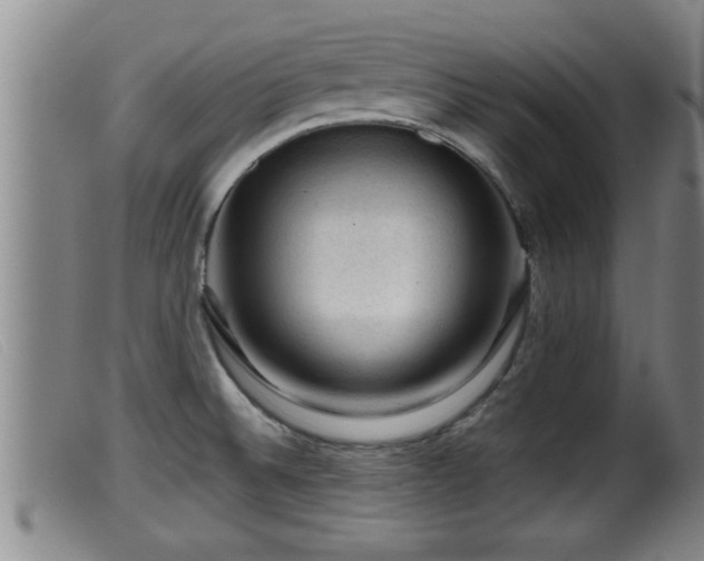 X0000099531524200805231050