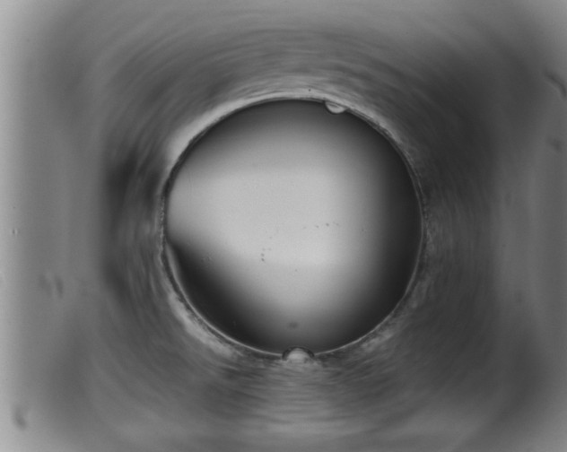 X0000099531526200805231050