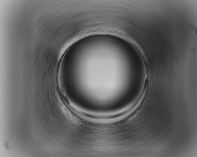 X0000099531530200805231050