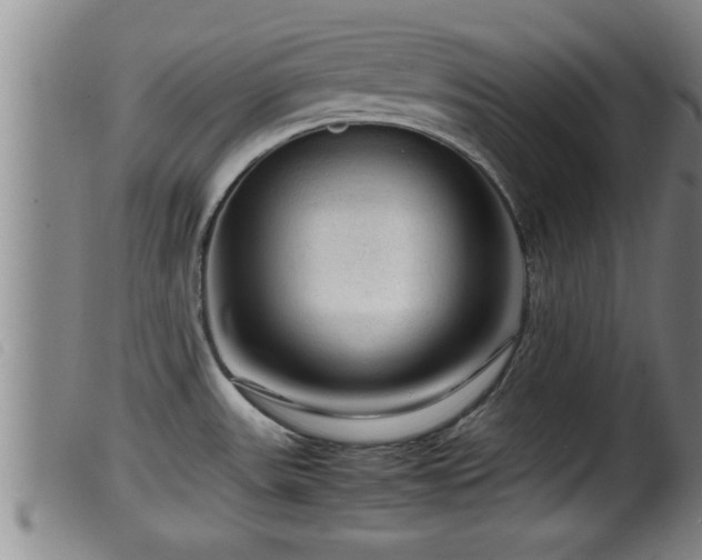 X0000099531531200805231050