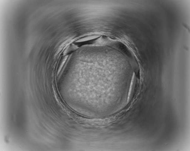 X0000099530001200805301449