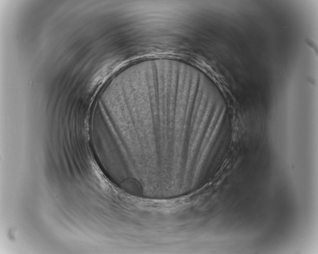 X0000099530002200805301449