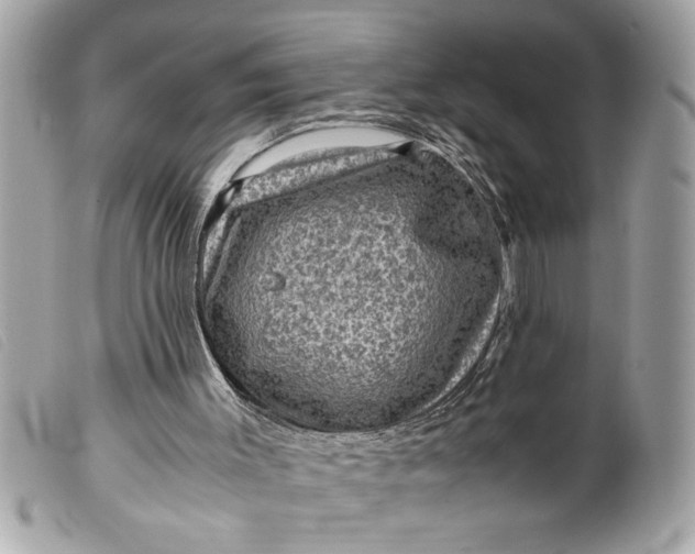 X0000099530003200805301449