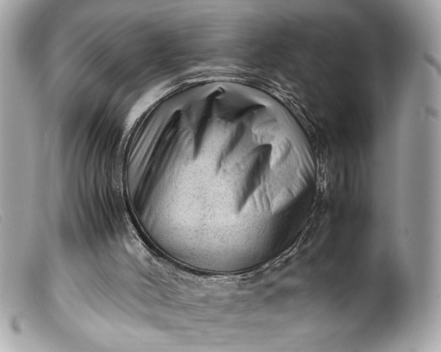 X0000099530004200805301449