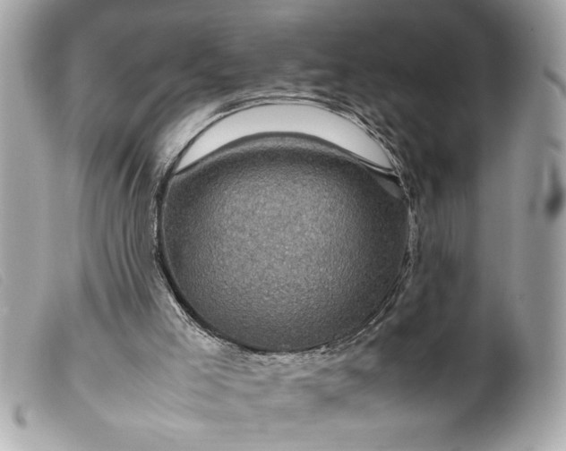 X0000099530005200805301449