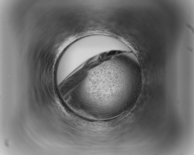 X0000099530008200805301449