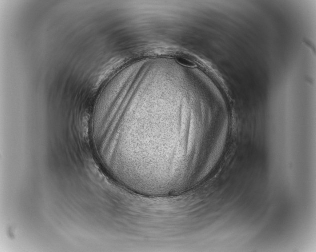 X0000099530010200805301449