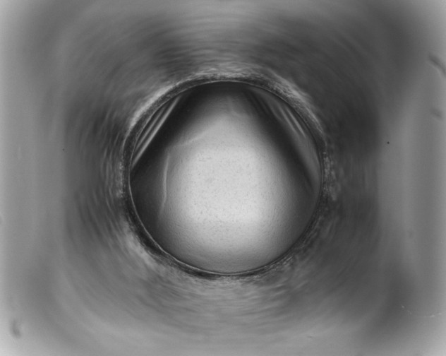 X0000099530012200805301449