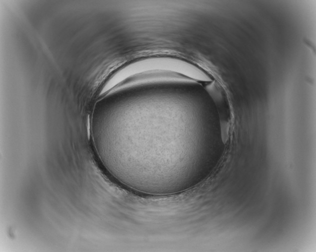 X0000099530013200805301449