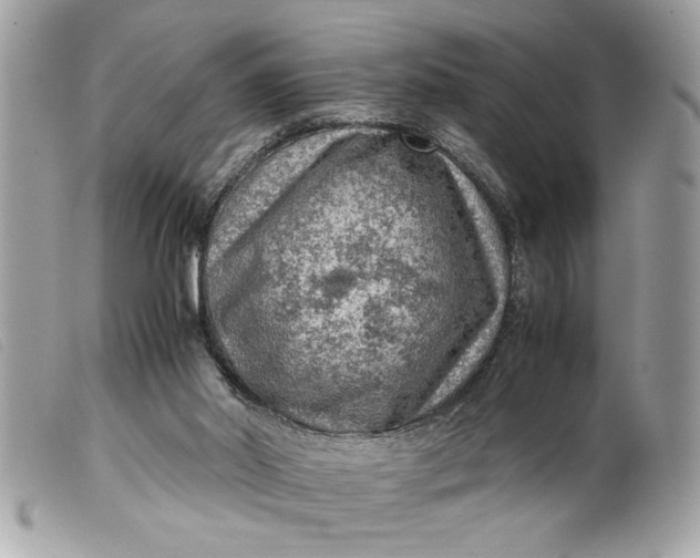 X0000099530014200805301449